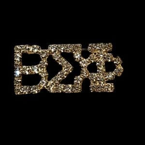 BETA SIGMA PHI‎ SORORITY BROOCH PIN JEWELRY